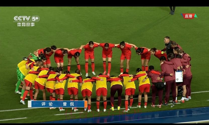 高清视频直播世界杯赛事精彩瞬间